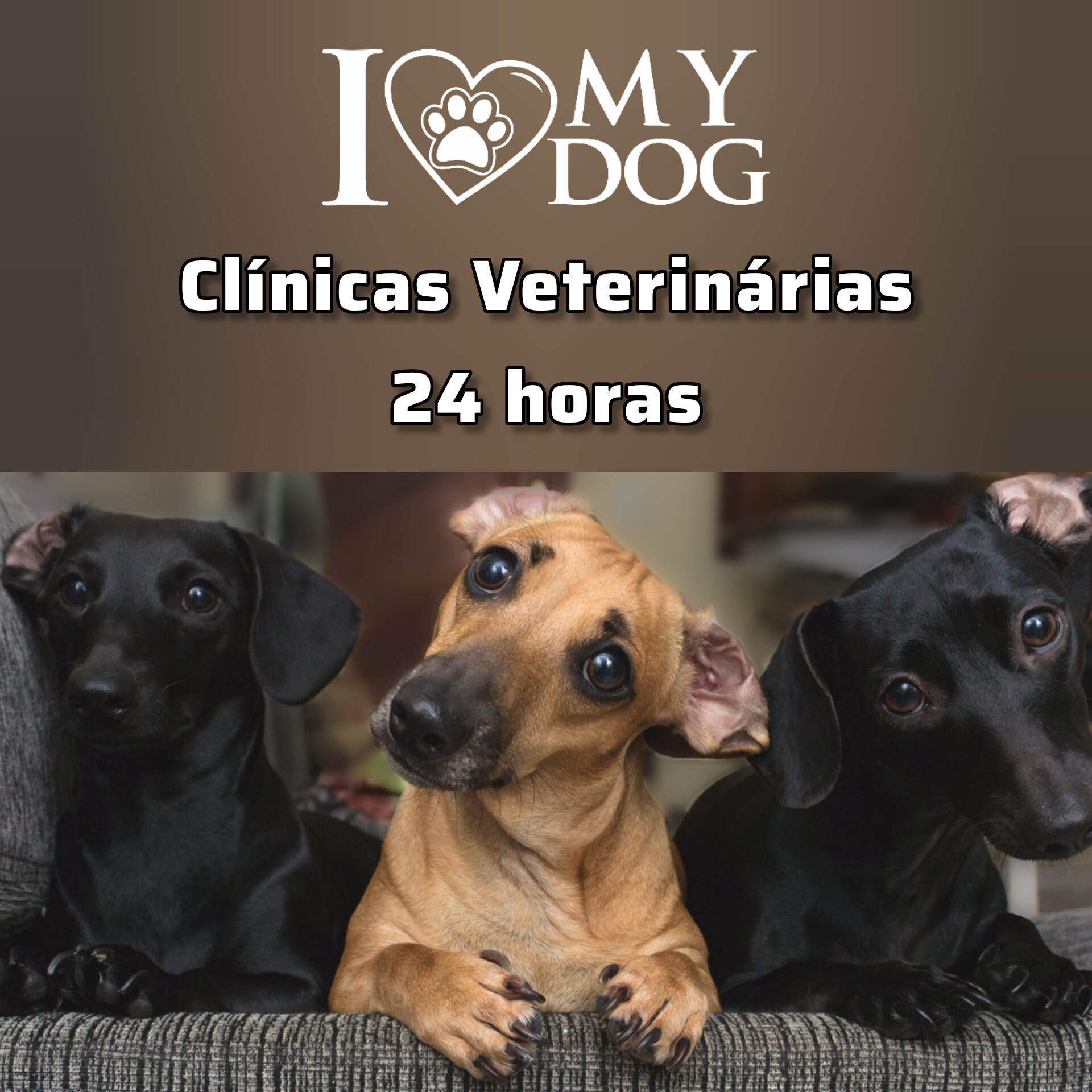 Clínicas Veterinárias 24 horas